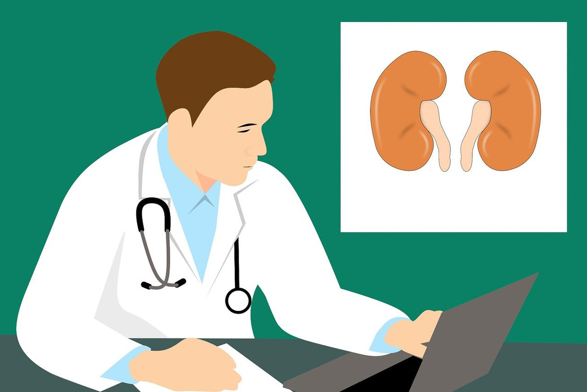 Black seed oil for kidney health