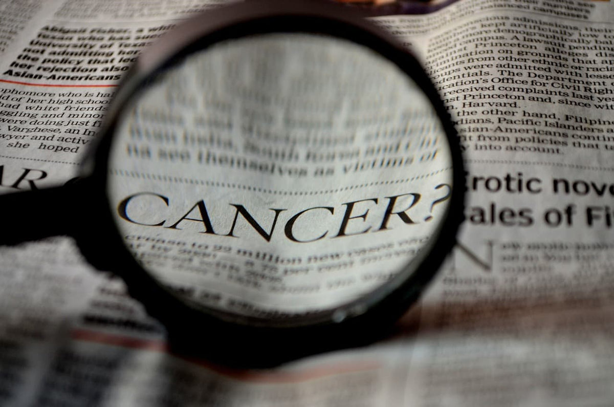 Sea moss and cancer
